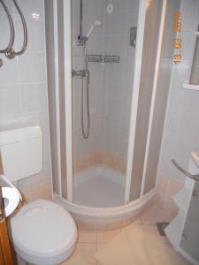 a bathroom with a shower and a toilet at Apartment Nagelj in Moravske Toplice