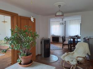 a living room with a potted plant and a table at Haus an der Stadtmauer in Lychen