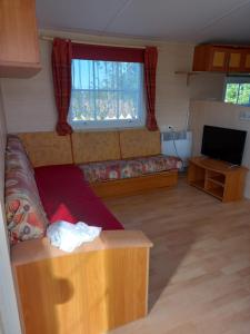 a living room with a couch and a flat screen tv at mobilhomme omaha in Saint-Laurent-sur-Mer