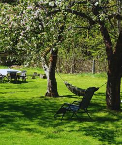 Κήπος έξω από το Bukowe Zacisze +19 φωτογραφίες