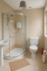 a bathroom with a shower and a toilet and a sink at Newry Premium B&B in Newry +15 photos