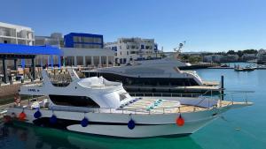 a large white boat is docked in the water at Camel Dive Club By The Sea Inn in Aqaba