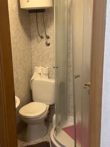 Koupelna v ubytování Damira Rooms