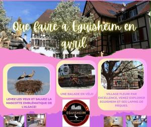 Zdjęcie z galerii obiektu Gite Géranium*** w mieście Eguisheim