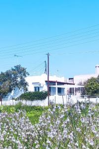 The building in which the holiday home is located