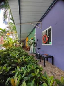 a room with a bunch of plants and a purple wall at Estancia Colibrí in Ricaurte +3 photos