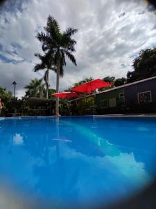 a large blue swimming pool with red umbrellas at Estancia Colibrí in Ricaurte