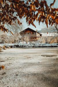 Příroda nedaleko apartmánu