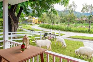 a group of sheep grazing on the grass on a porch at Luxury Farm House in Pai