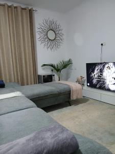 Μια τηλεόραση ή/και κέντρο ψυχαγωγίας στο Optimal House in Nyeri