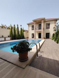 Una piscina con una planta en maceta delante de una casa. en Garden House, en Mekhrably