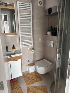 Phòng tắm tại Apartman-Diva-Vukovic