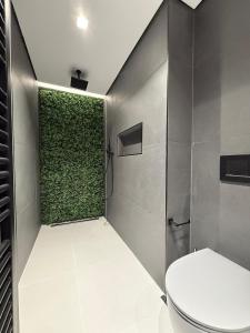 a bathroom with a toilet and a green wall at Old Town Flat in Patra