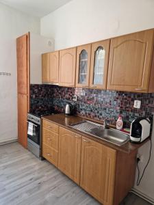 Kuchyň nebo kuchyňský kout v ubytování Apartman Kala Česká Lípa