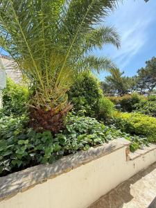 ボルにあるRoom's BOLのギャラリーの写真