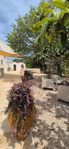Zahrada ubytování B&B il Nostro Sogno