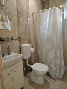 a bathroom with a toilet and a sink and a shower at Kaptárkő Apartmanház in Demjén