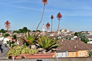 A general view of Viadana or a view of the city taken from Az apartmant