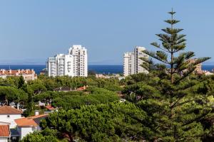 a pine tree in a city with tall buildings at Cascais Ocean View by Homing in Cascais