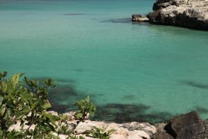 a view of a body of water with rocks at Playa del Mar - Adults Only in Monopoli