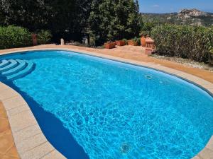 a large blue swimming pool in a yard at Nido del Cuculo - Stilvolle Villa mit privatem Pool nahe der Costa Smeralda in Cannigione