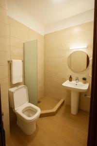 a bathroom with a toilet and a sink at Αvra Strymonikou in Stavros