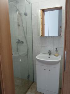 un bagno con doccia, lavandino e specchio di Studija Kauno centre a Kaunas