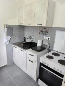 Köök või kööginurk majutusasutuses Apartman Removic
