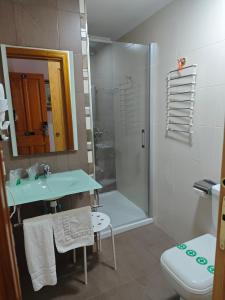 a bathroom with a shower and a sink and a toilet at Hotel Miraya Beach in Torre del Mar +35 photos