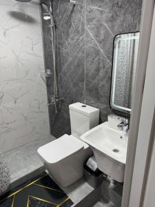 ビシュケクにあるRicco guest houseのトイレ、洗面台、シャワー付きのバスルーム