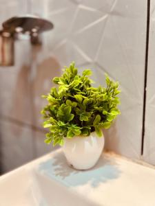 una planta verde en un jarrón blanco sobre una mesa en Ivory Apartment in Hennur with Comfort, en Bangalore