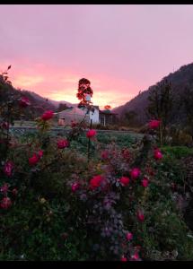 een bloemenveld met een huis op de achtergrond bij Corbett hill center river home stay in Lansdowne