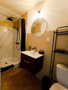 a bathroom with a sink and a shower and a mirror at Entre montagne et lavande - Maison Provençale in Saint-Étienne-les-Orgues +15 photos