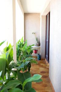a hallway with potted plants in a building at Spacious Duplex Pantin, near Paris in Pantin