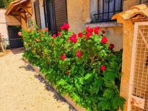 Giardino di Cadre d'exception