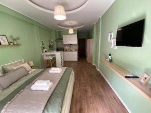 a living room with a bed and a flat screen tv at ΦΙΛΟΞΕΝΙΑ-Filoxenia in Veria