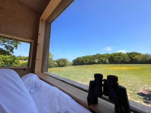 Gallery image of Pop up campsites in Hastings