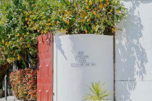 a red gate with a orange tree behind it at Casa Relogio de Sol in Lamego