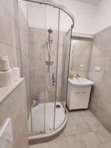 a bathroom with a shower and a toilet and a sink at Star Apartments Brno #3C315 by Starbnb EU in Brno +8 photos