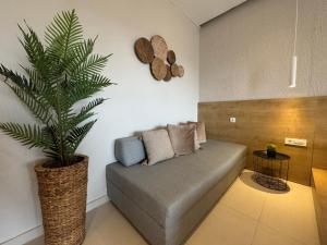 a living room with a couch and a plant at Eleftherias Suites - Near Beach Apartments in Marathi