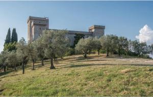 a building on top of a hill with trees at Casa Rosmarino, Ac, Wifi, Narni in Narni