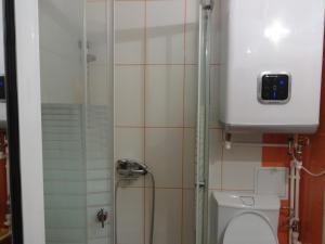 Un pequeño baño con ducha y WC. en Alina Accommodation, en Galaţi 12 fotos más