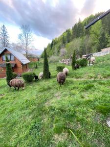 Gallery image of Lisowa Hatka Yavoriv in Yavoriv