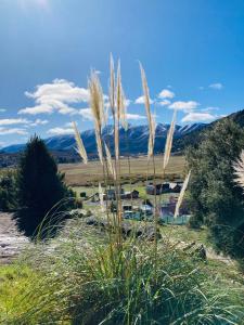 Peisaj natural din apropierea acestui chalet