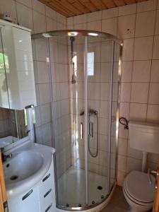 a bathroom with a shower and a sink and a toilet at Hiška z razgledom in Ljutomer