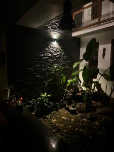 Bilde i galleriet til Nights & Rains - the ultimate quiet getaway i Trivandrum