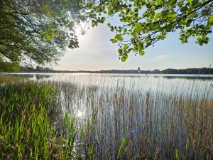Φυσικό τοπίο κοντά σε αυτή η βίλα