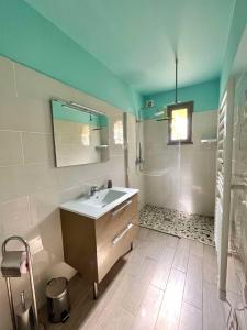 une salle de bain avec un lavabo et un miroir dans l'établissement Bel appartement au calme, à Santa-Reparata-di-Balagna
