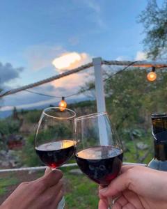 two people holding up glasses of red wine at El Gato Glamping con vista a prismas basálticos in Huasca de Ocampo +107 photos