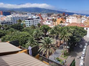 een uitzicht op een stad met palmbomen en gebouwen bij Central Charco in Puerto de la Cruz